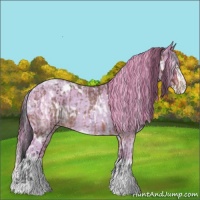 Horse Color:White Spotted Bay Roan Appaloosa  and Watercolor White Spotted Gold Champagne Ice Roan Splash 