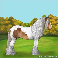 Horse Color:Silver Buckskin Tobiano Appaloosa