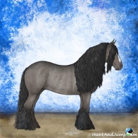 Horse Color:Black Rabicano 