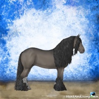 Horse Color:Black Rabicano 