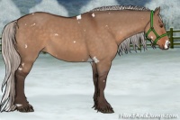 Horse Color:White Spotted Silver Brown Dun Rabicano 