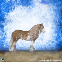 Horse Color:Chocolate Palomino Sabino Rabicano