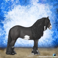 Horse Color:Black Frame Rabicano