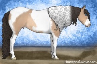 Horse Color:Amber Champagne Tobiano Frame Rabicano 