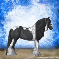 Horse Color:Black Tobiano Rabicano