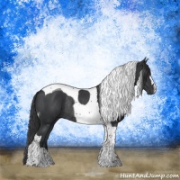 Horse Color:Black Tobiano Rabicano 
