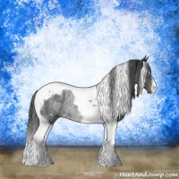 Horse Color:Black Ice Tobiano Rabicano