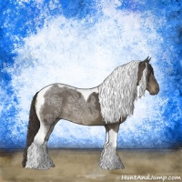 Horse Color:Smoky Black Ice Tobiano Rabicano