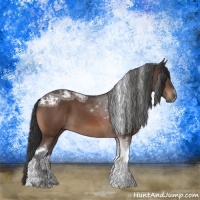 Horse Color:Brown Ice Tobiano Rabicano