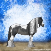 Horse Color:Black Ice Tobiano Rabicano