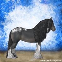 Horse Color:Black Ice Tobiano Rabicano