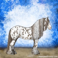 Horse Color:Chocolate Palomino Appaloosa