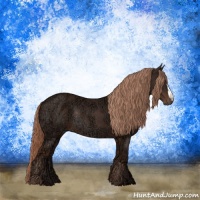 Horse Color:Liver Chestnut Ice Rabicano