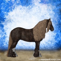 Horse Color:Liver Chestnut Ice Rabicano 
