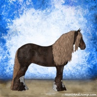 Horse Color:Liver Chestnut Ice Rabicano