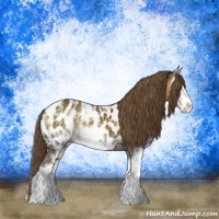 Horse Color:Buckskin Ice Onyx Sabino Blanket 
