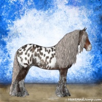 Horse Color:Silver Blue Onyx Ice Sabino Blanket 