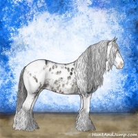 Horse Color:Blue Onyx Ice Sabino Near Leopard 