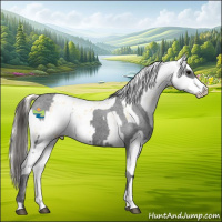 Horse Color:Black Appaloosa and Palomino Sabino Splash Appaloosa
