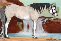 Horse Color:Brown Ice Dun Splash Rabicano 