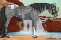 Horse Color:Black Ice Appaloosa 