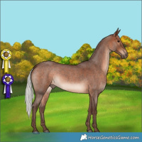 Horse Color:Silver Brown Roan 