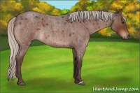 Horse Color:Silver Brown Roan