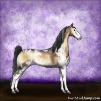 Horse Color:Brown Onyx Sabino Appaloosa Rabicano