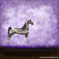 Horse Color:White Spotted Blue Onyx Sabino Appaloosa Rabicano 
