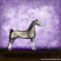 Horse Color:Blue Onyx Sabino Snowcap Rabicano 
