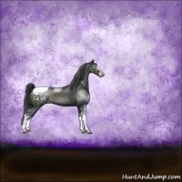 Horse Color:Black Sabino Appaloosa Rabicano