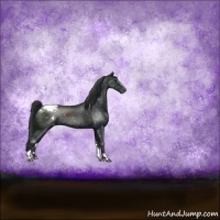 Horse Color:Black Sabino Snowflake VarnishRabicano 