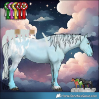 Horse Color:Watercolor Grullo Chinchilla Tobiano Blanket Rabicano