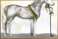 Horse Color:White Spotted Liver Red Dun Mushroom Splash 