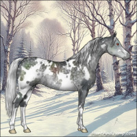 Horse Color:White Spotted Silver Black Chinchilla 