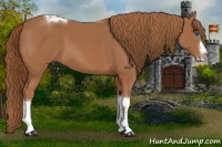 Horse Color:Chestnut Splash Tobiano