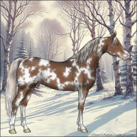 Horse Color:White Spotted Liver Chestnut Mushroom Sabino 