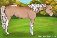Horse Color:Silver Brown Splash Tobiano Varnish 