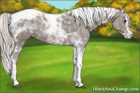 Horse Color:Silver Black Splash Tobiano Varnish 