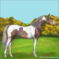 Horse Color:Nacre Silver Black Tobiano 