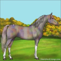 Horse Color:Nacre Silver Black Tobiano 