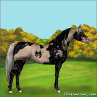 Horse Color:Gray Void Silver Classic Champagne Splash Tobiano 