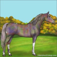 Horse Color:Nacre Silver Black Tobiano 