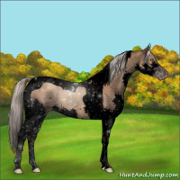 Horse Color:Gray Void Silver Classic Champagne Splash Tobiano 