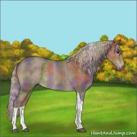 Horse Color:Nacre Silver Blue Roan Tobiano 