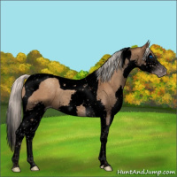 Horse Color:Gray Void Silver Classic Champagne Splash Tobiano