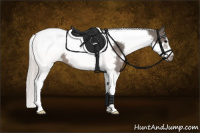 Horse Color:White Spotted Silver Black Tobiano Frame