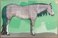 Horse Color:Plaid  White Spotted Liver Red Dun Ice 