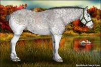 Horse Color:Platinum White Spotted Buckskin Ice Sabino Splash 