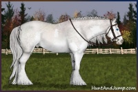 Horse Color:Platinum Liver Chestnut Ice Pearl Sabino Splash 